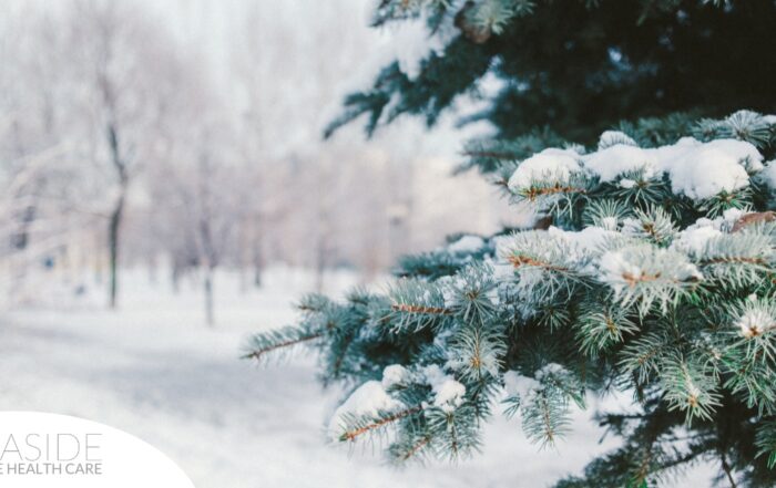 A tree and road are covered in snow representing winter and the senior safety that should be prioritized during the season.