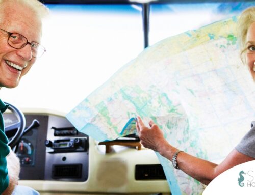 Cultural Escapes: Enriching Day Trips for Seniors